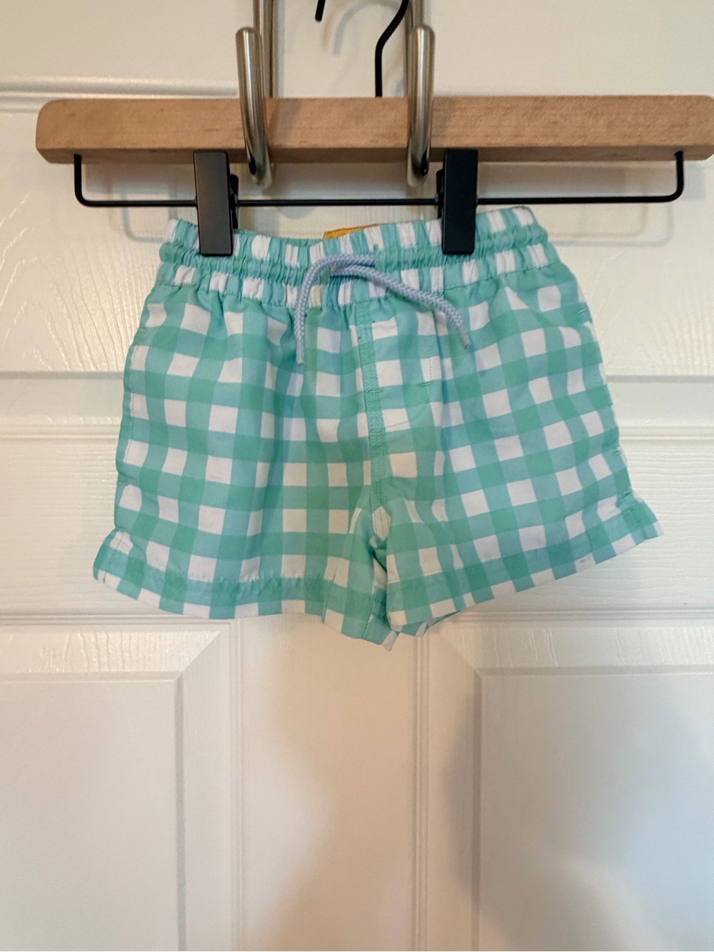 Tortola swim trunks in a green and white gingham plaid